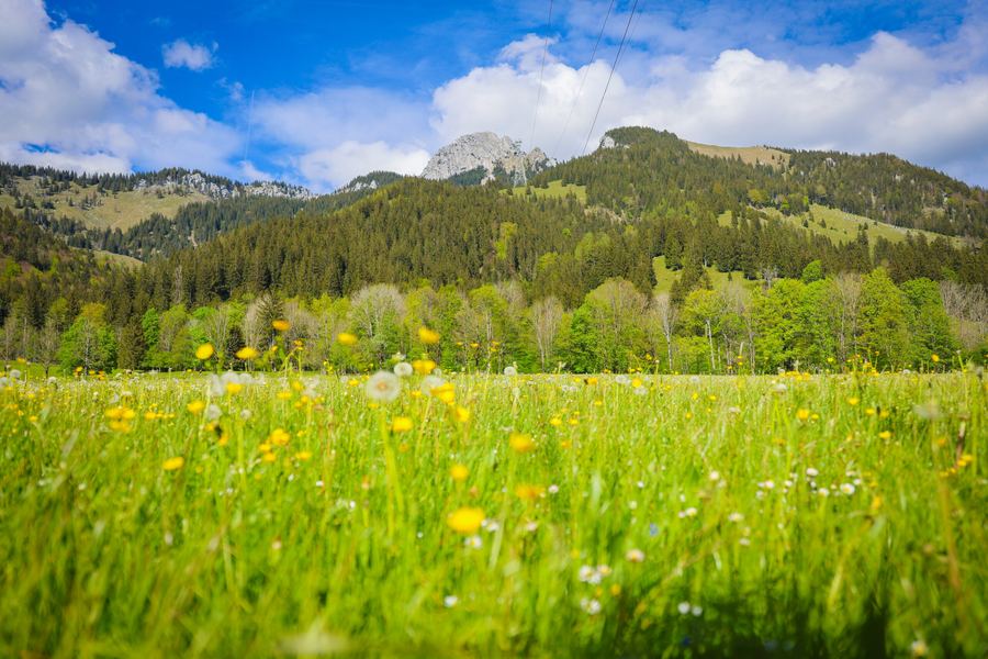 Wandern