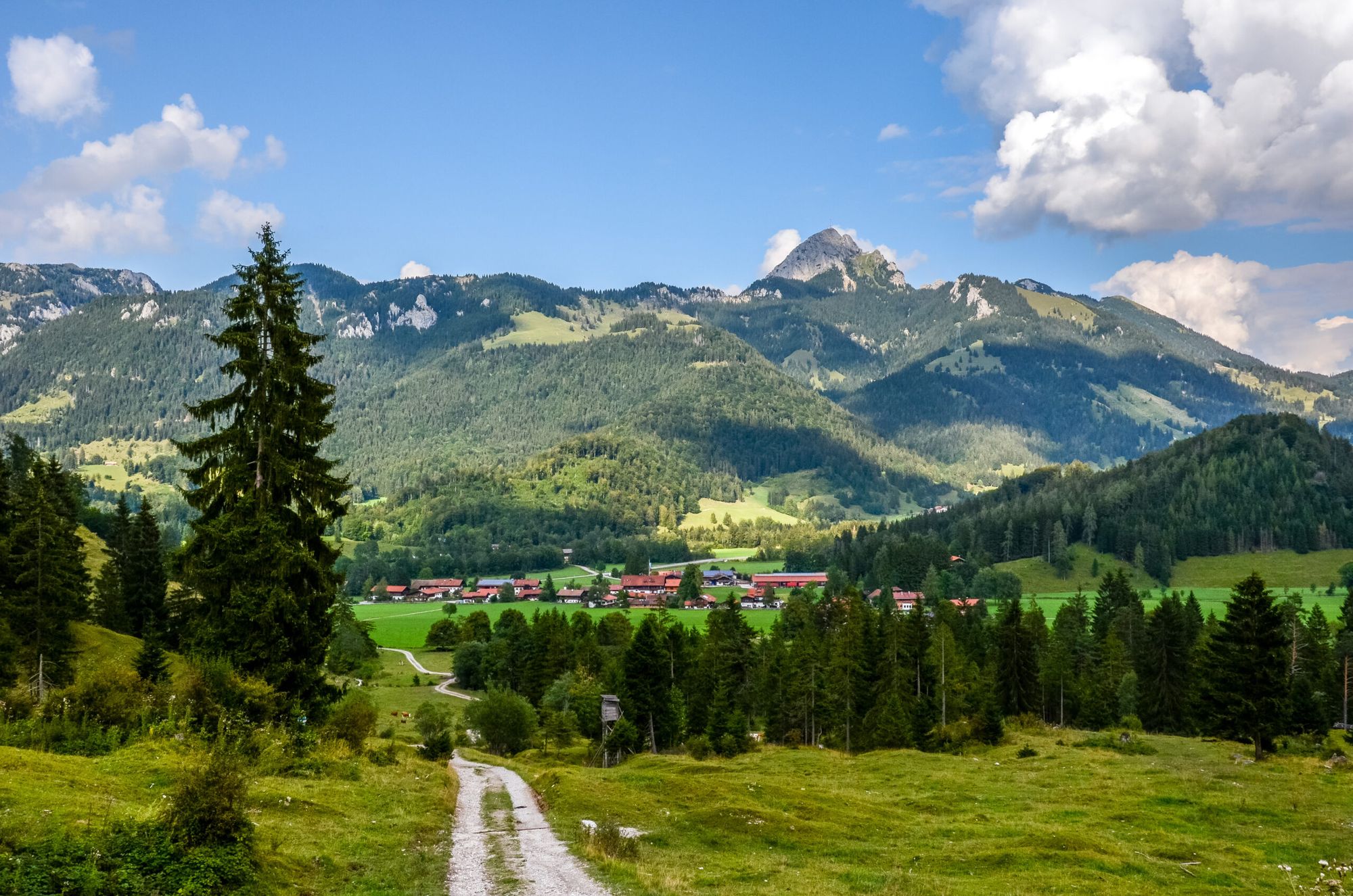 Wiesen und Berge rund um Bayrischzell